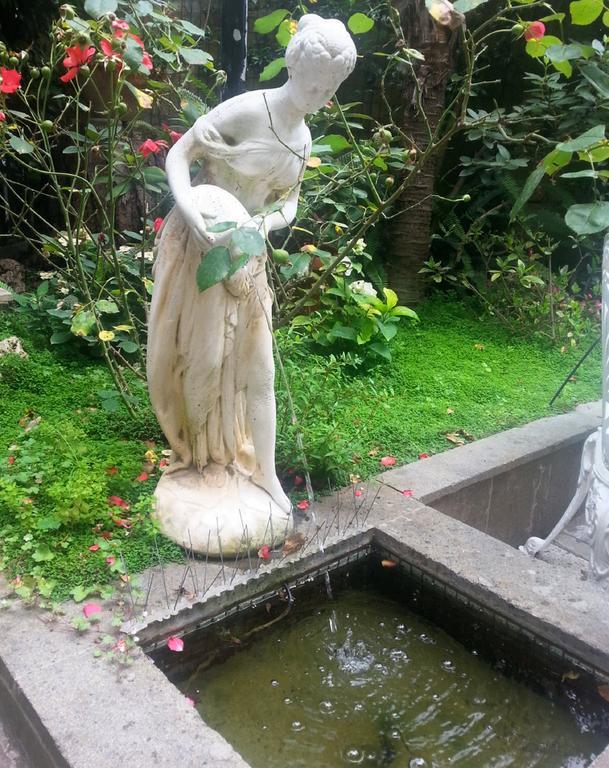 Pensión Il Limone Nascosto Roma